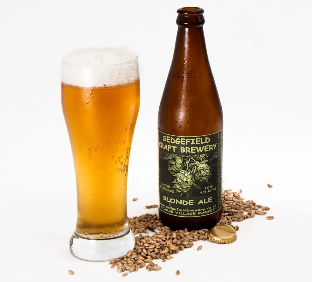 APA vs. IPA Beers: What Are the Main Differences? – Bird of Smithfield